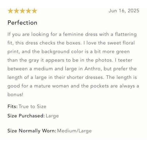 NWT Size 3X- Loverly Grey x Anthropologie The Somerset Mini Dress  (NWT US$ 140) - Picture 12 of 15